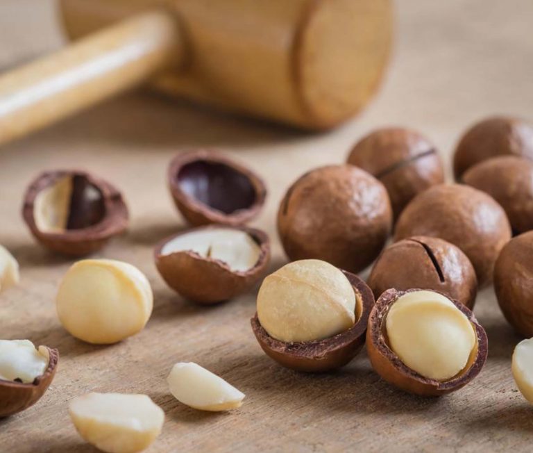 macadamia-nuts-on-a-table