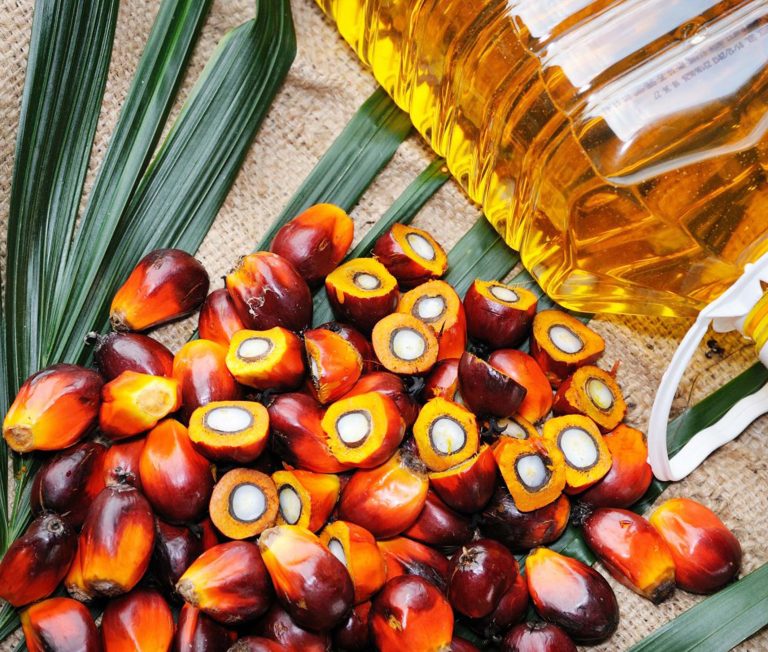 palm oil